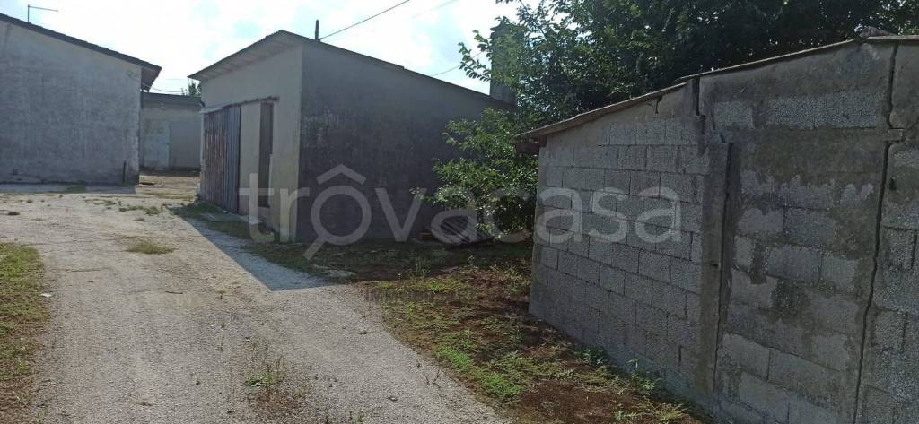 immagine annuncio 8 di 12