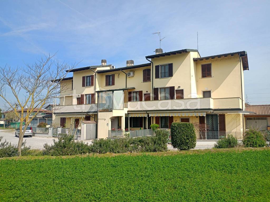 immagine annuncio 1 di 15