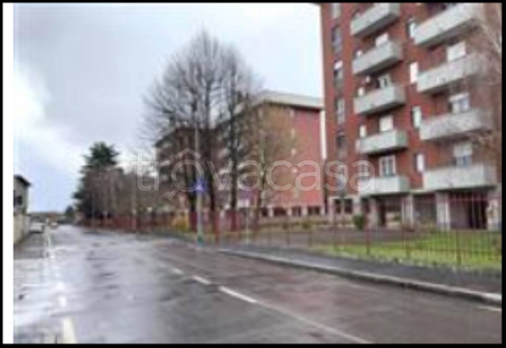 immagine annuncio 3 di 12