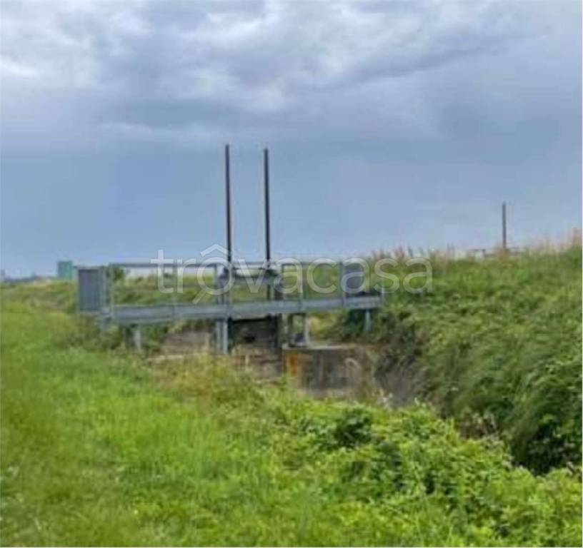 immagine annuncio 6 di 12