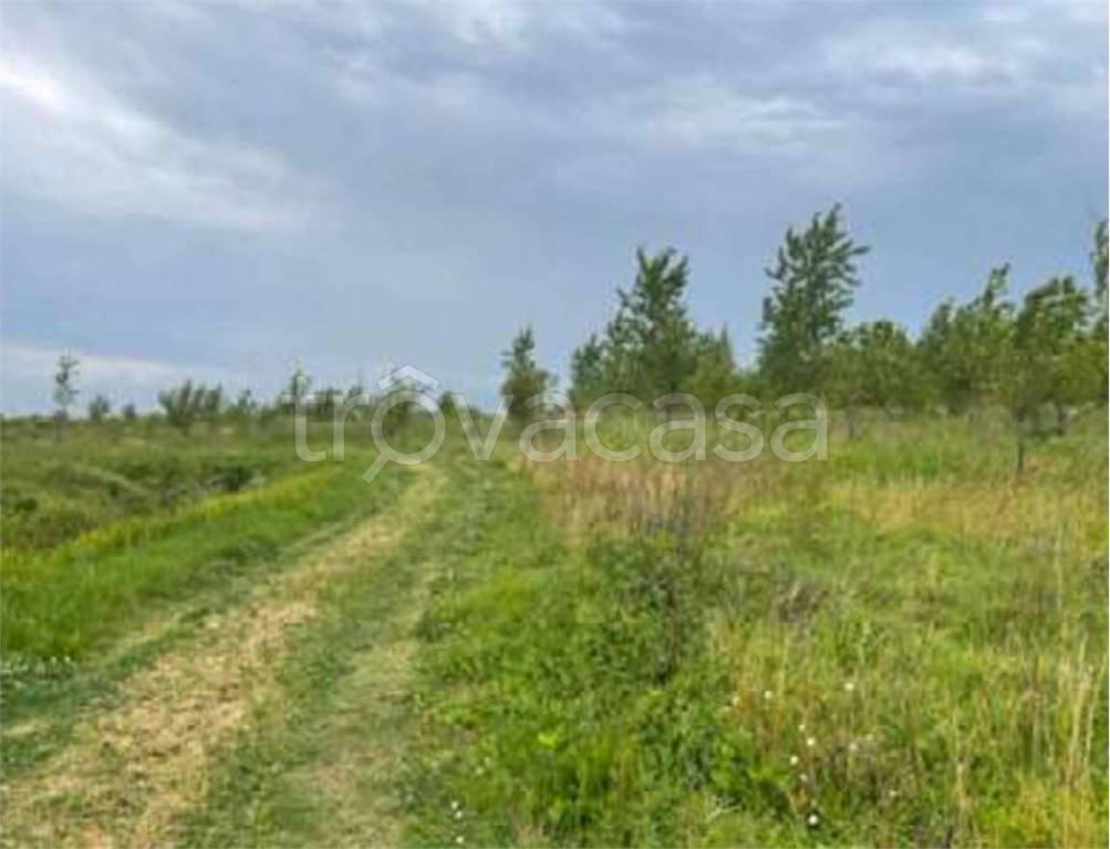 immagine annuncio 7 di 12