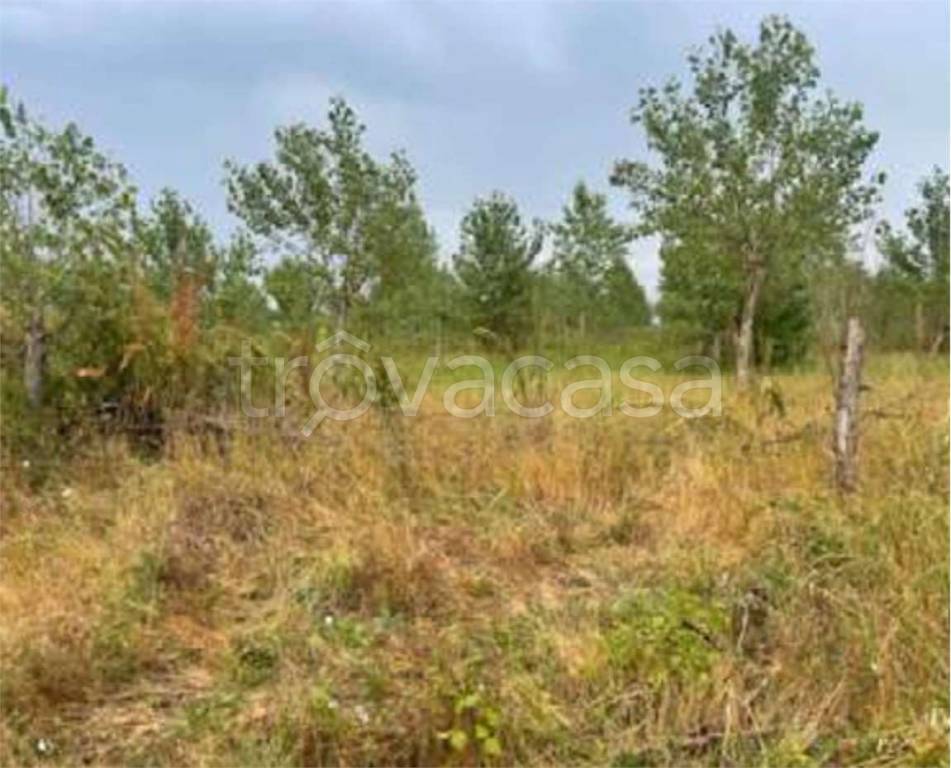 immagine annuncio 8 di 12