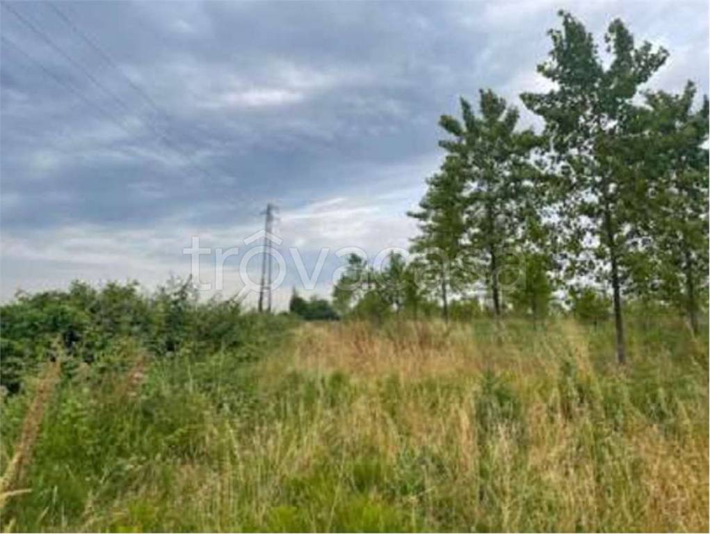 immagine annuncio 10 di 12