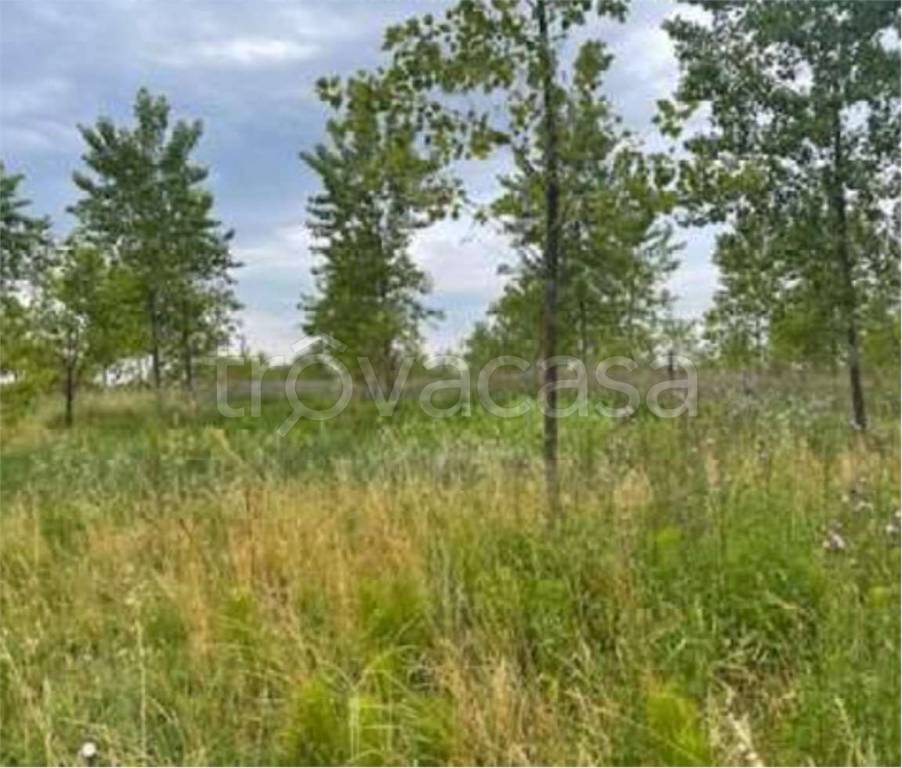 immagine annuncio 11 di 12