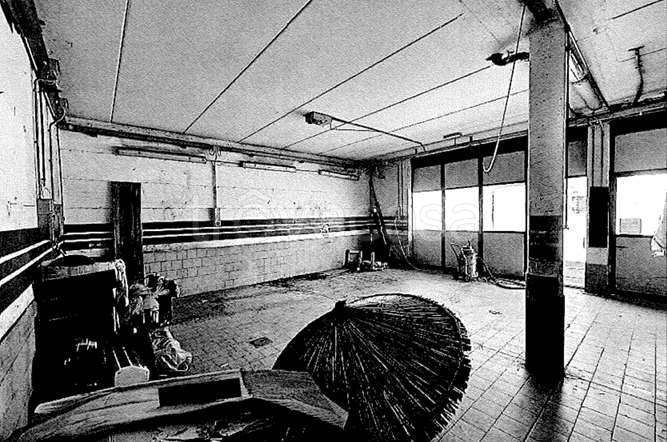 immagine annuncio 3 di 6