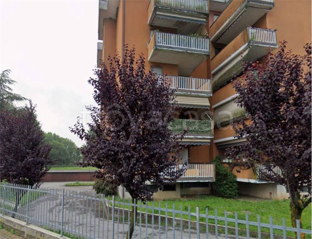 immagine annuncio 5 di 15