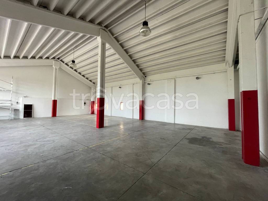 immagine annuncio 4 di 11