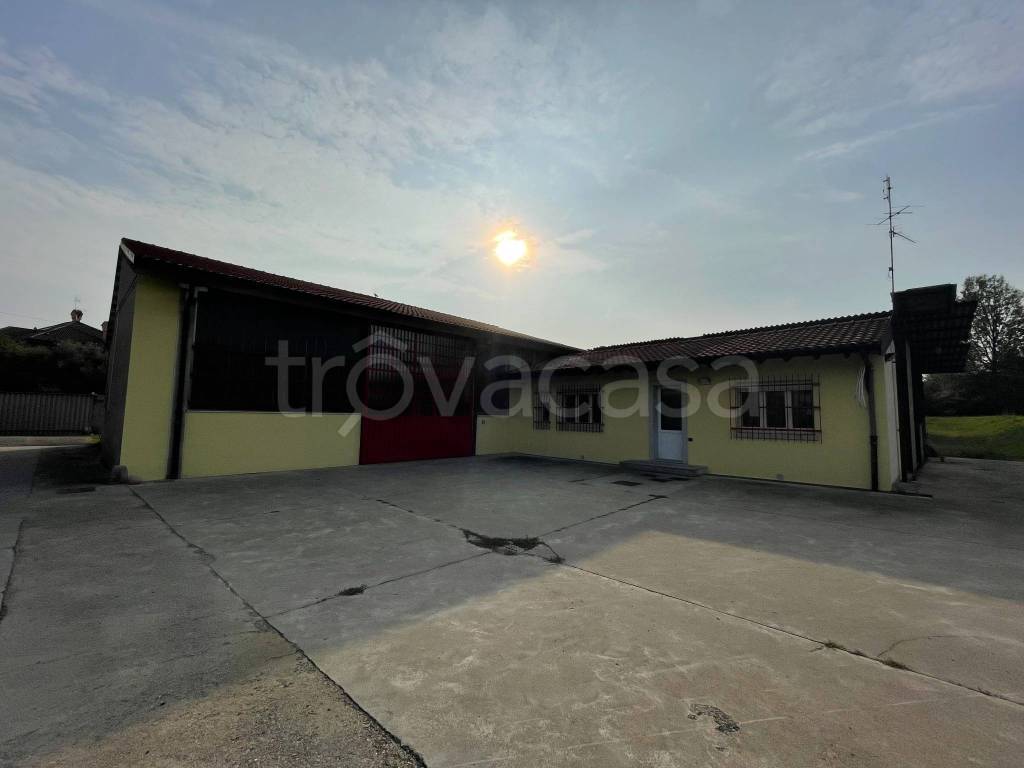 immagine annuncio 2 di 11