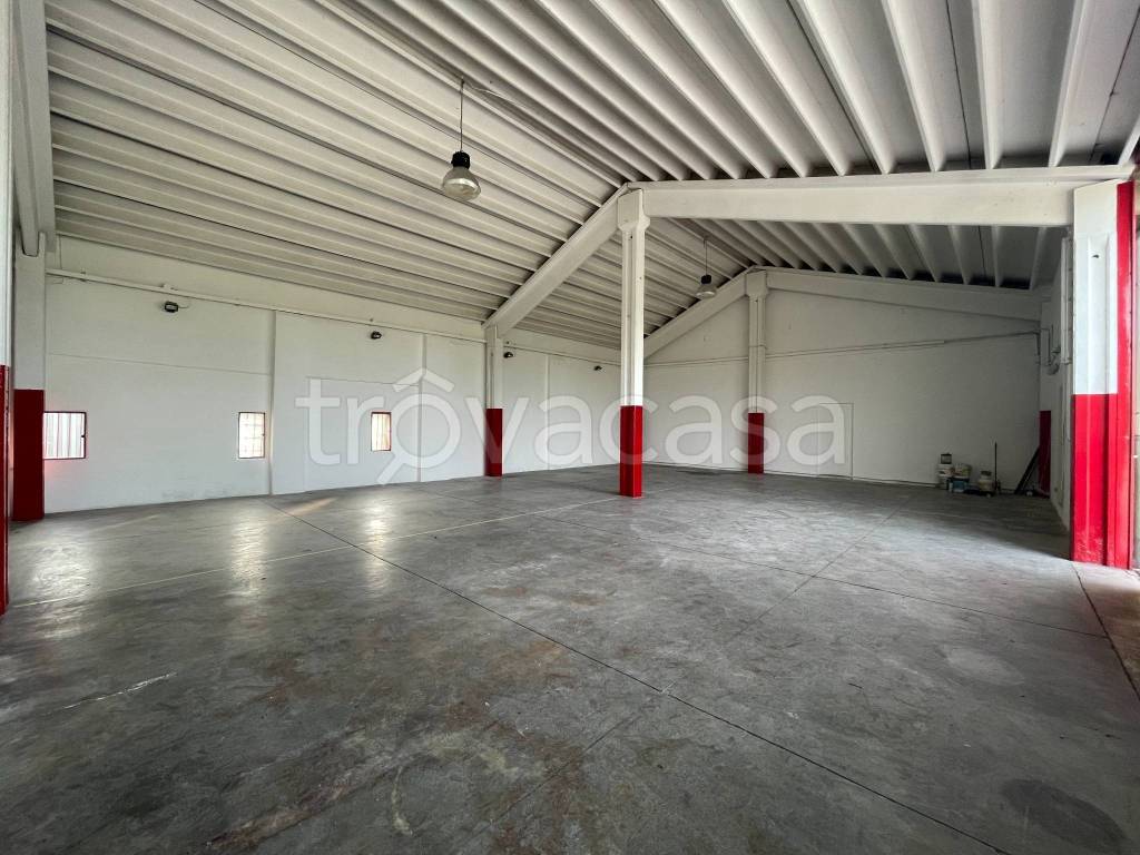 immagine annuncio 10 di 11