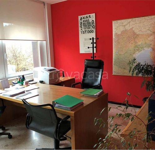 immagine annuncio 3 di 13