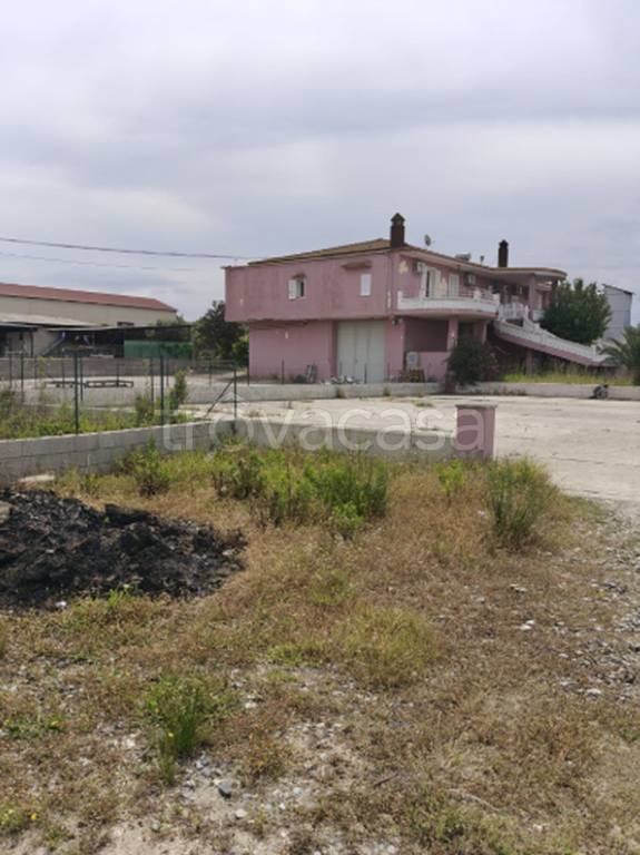 immagine annuncio 7 di 11