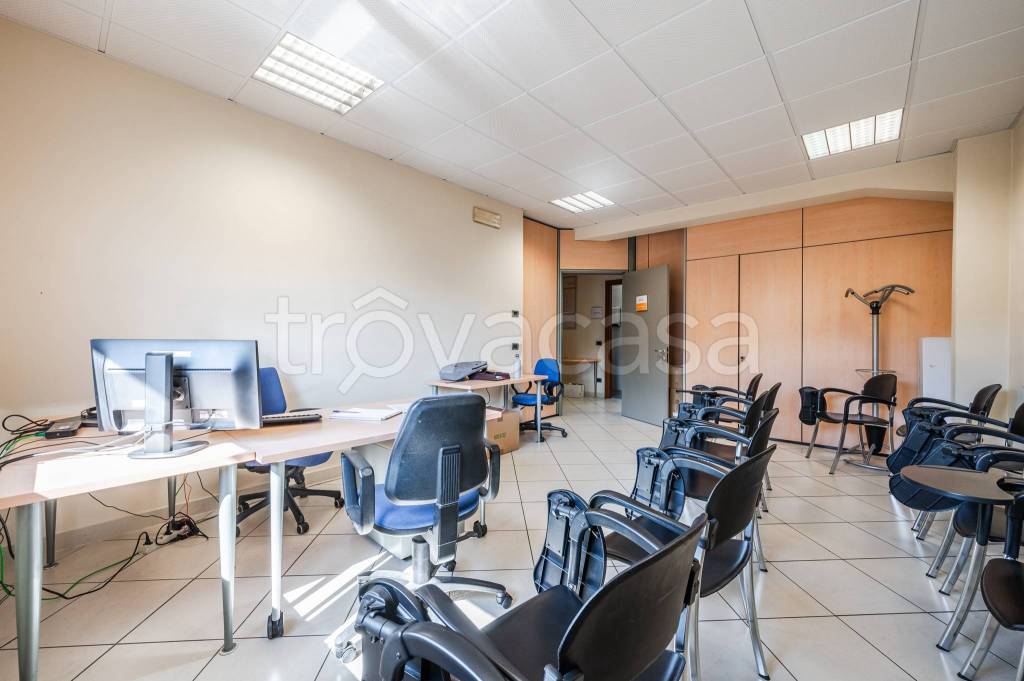 immagine annuncio 6 di 12