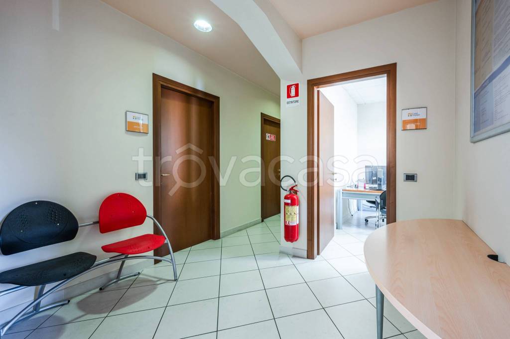 immagine annuncio 7 di 12