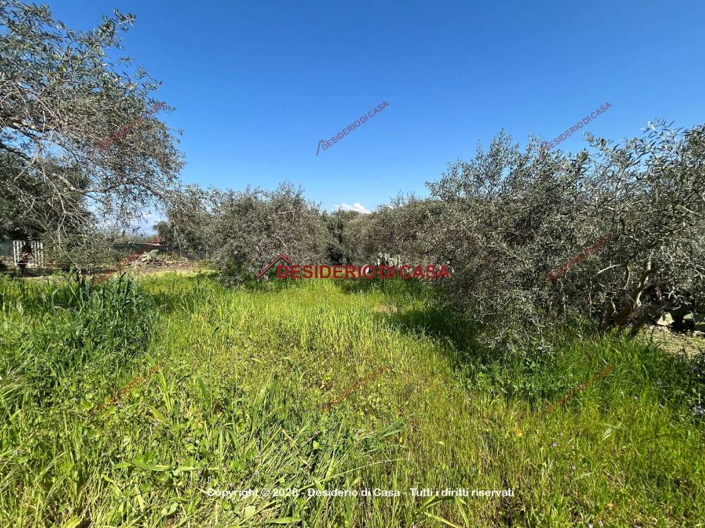 immagine annuncio 10 di 12