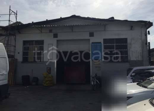 immagine annuncio 1 di 14