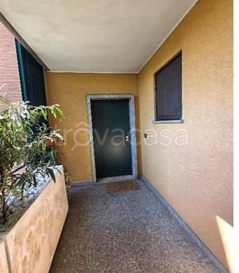 immagine annuncio 2 di 14