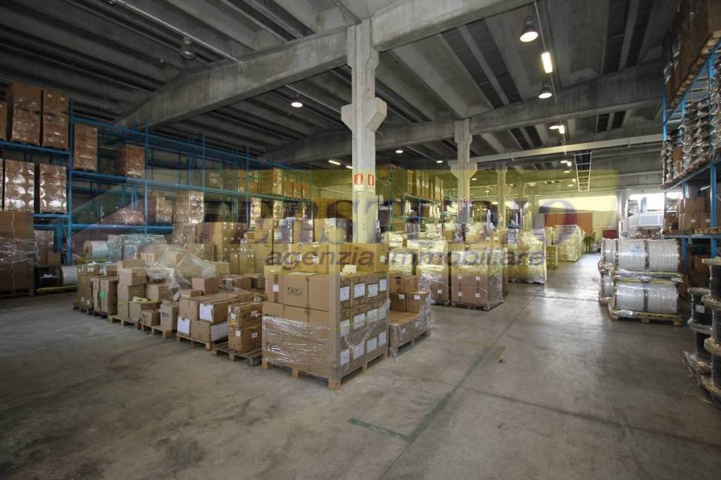 immagine annuncio 2 di 7