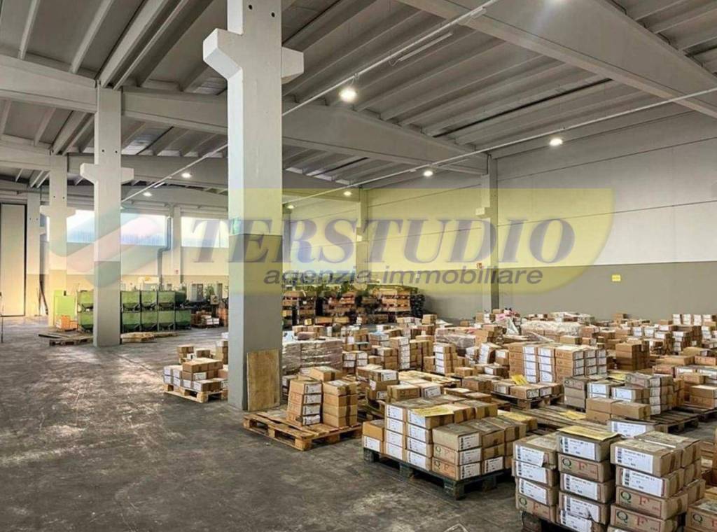 immagine annuncio 4 di 7