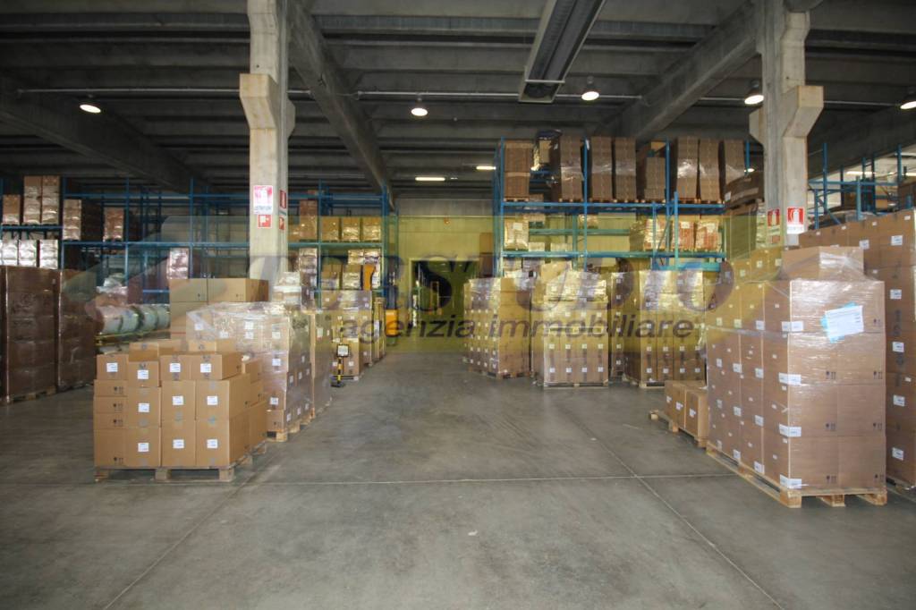 immagine annuncio 6 di 7