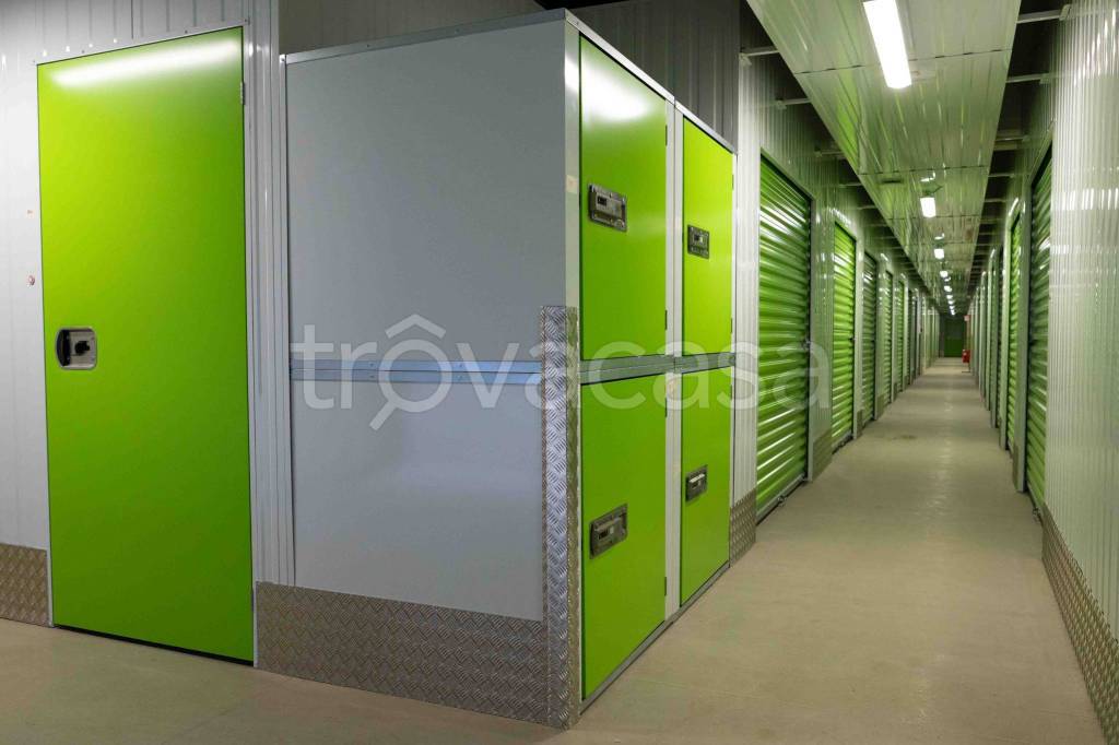 immagine annuncio 4 di 14