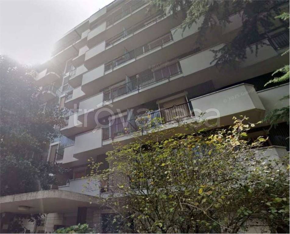 immagine annuncio 6 di 14