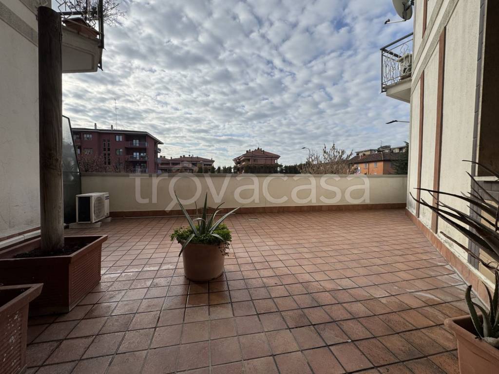 immagine annuncio 8 di 15