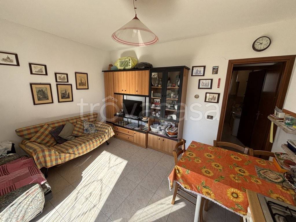 immagine annuncio 3 di 14