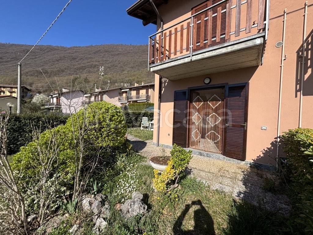 immagine annuncio 12 di 14