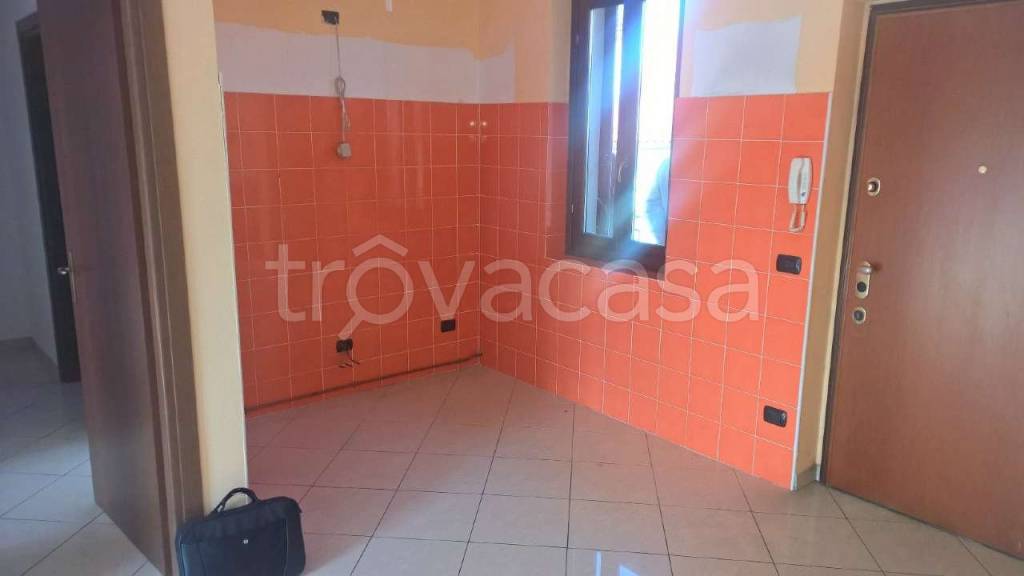 immagine annuncio 6 di 14