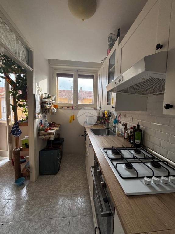 immagine annuncio 4 di 14