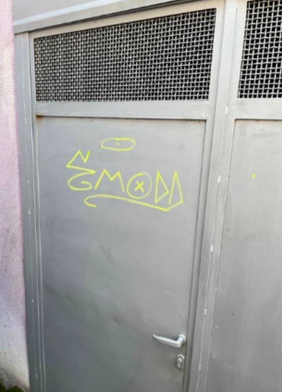 immagine annuncio 10 di 11