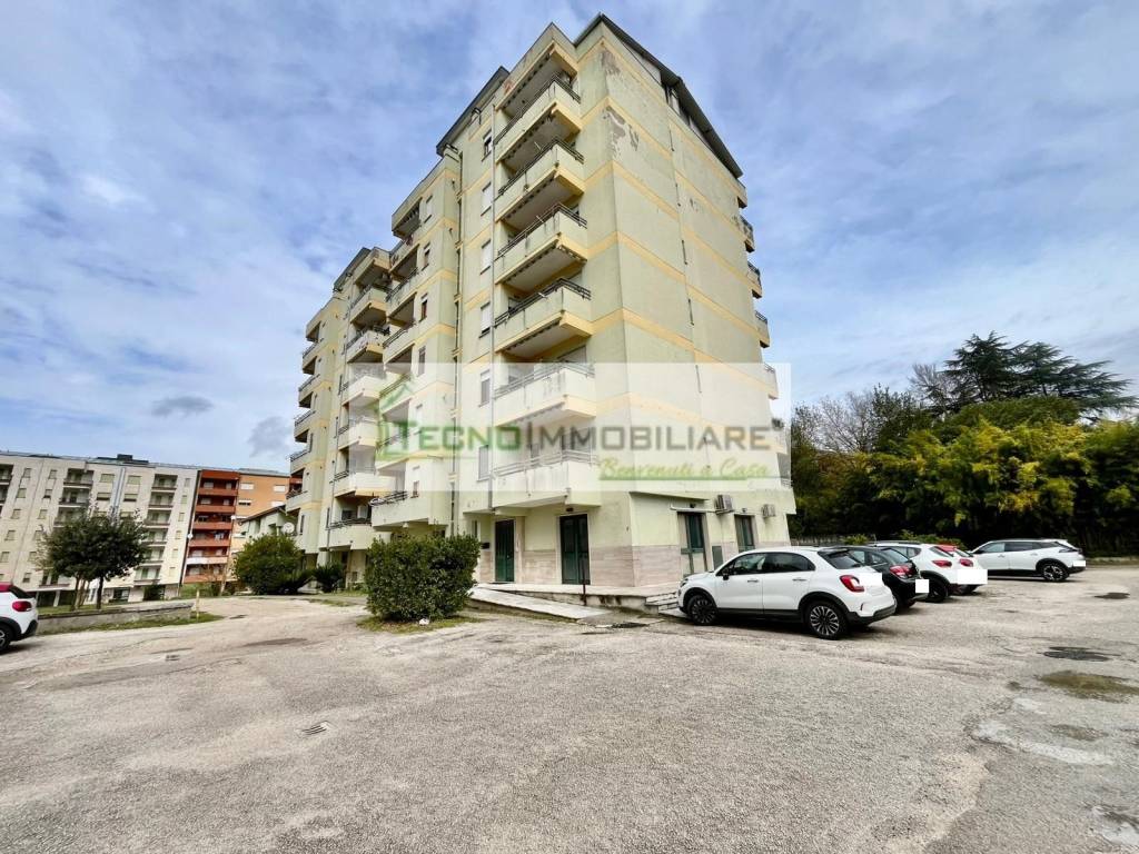 immagine annuncio 3 di 12