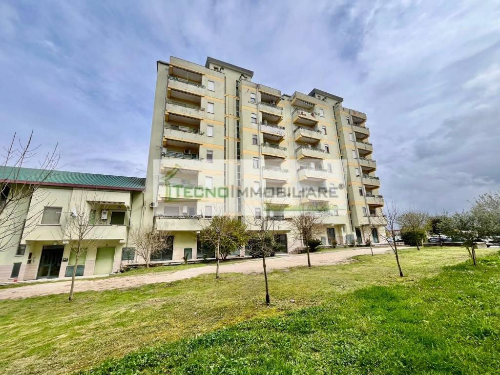 immagine annuncio 4 di 12