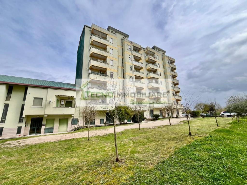 immagine annuncio 5 di 12