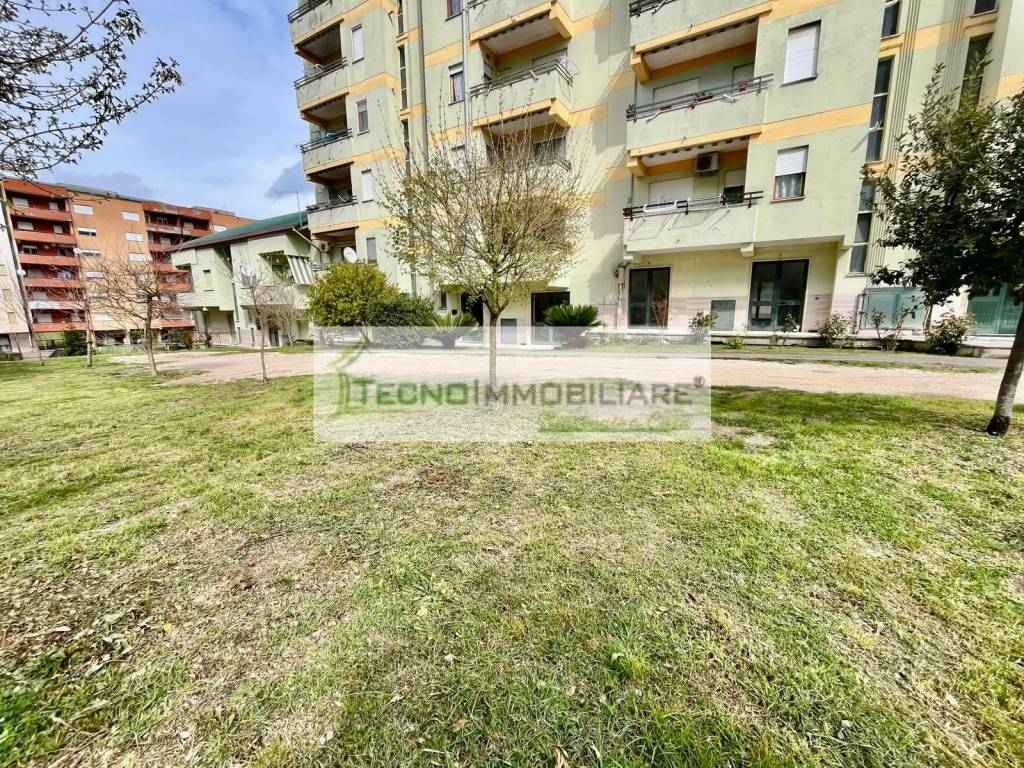 immagine annuncio 6 di 12