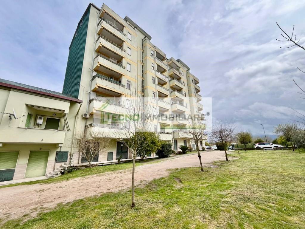 immagine annuncio 7 di 12