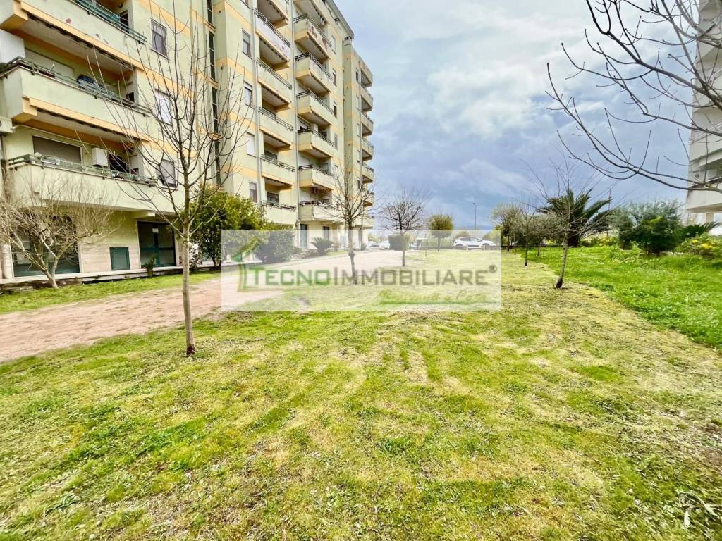 immagine annuncio 8 di 12