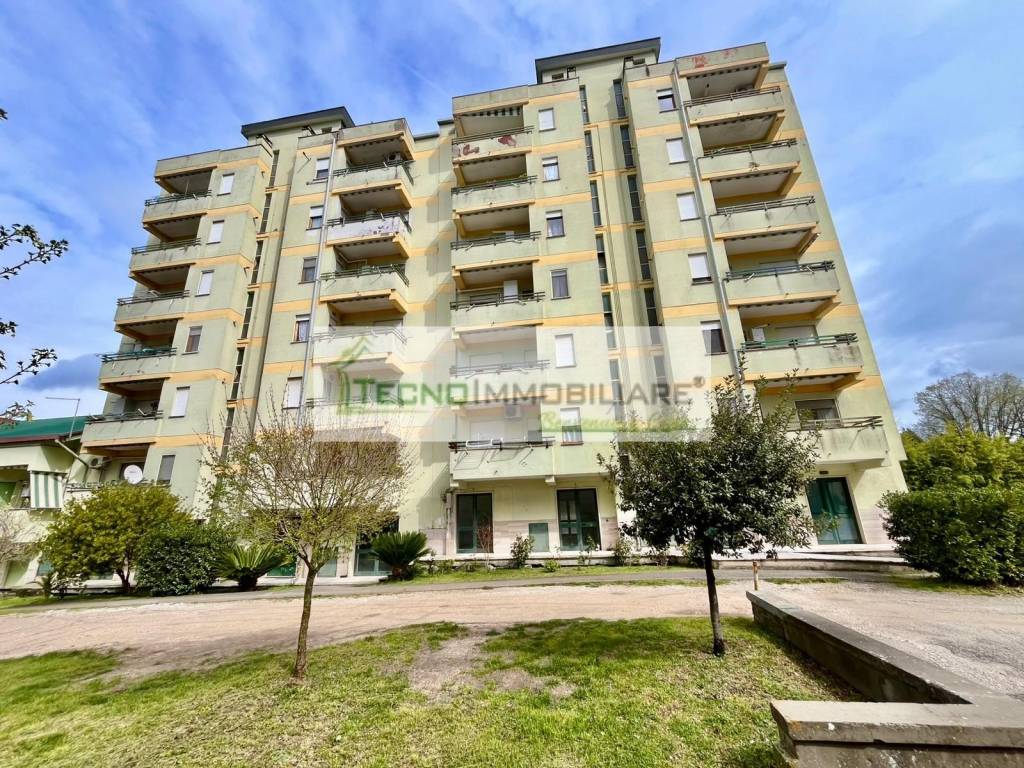 immagine annuncio 9 di 12