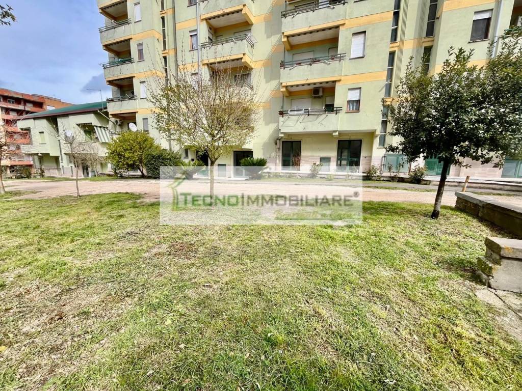 immagine annuncio 10 di 12