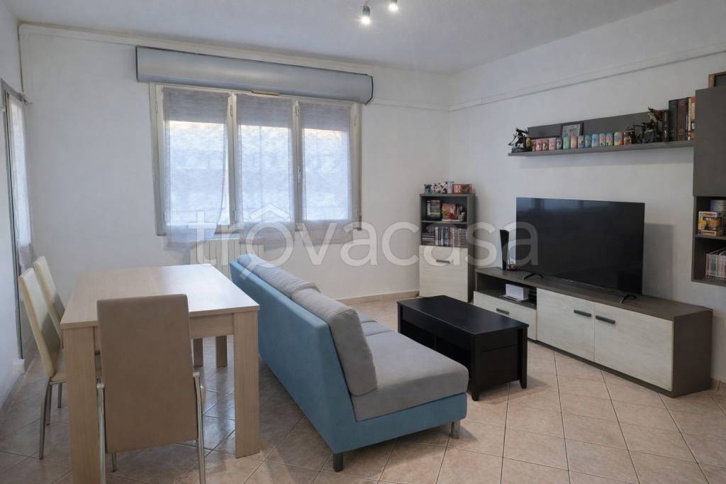 immagine annuncio 3 di 13