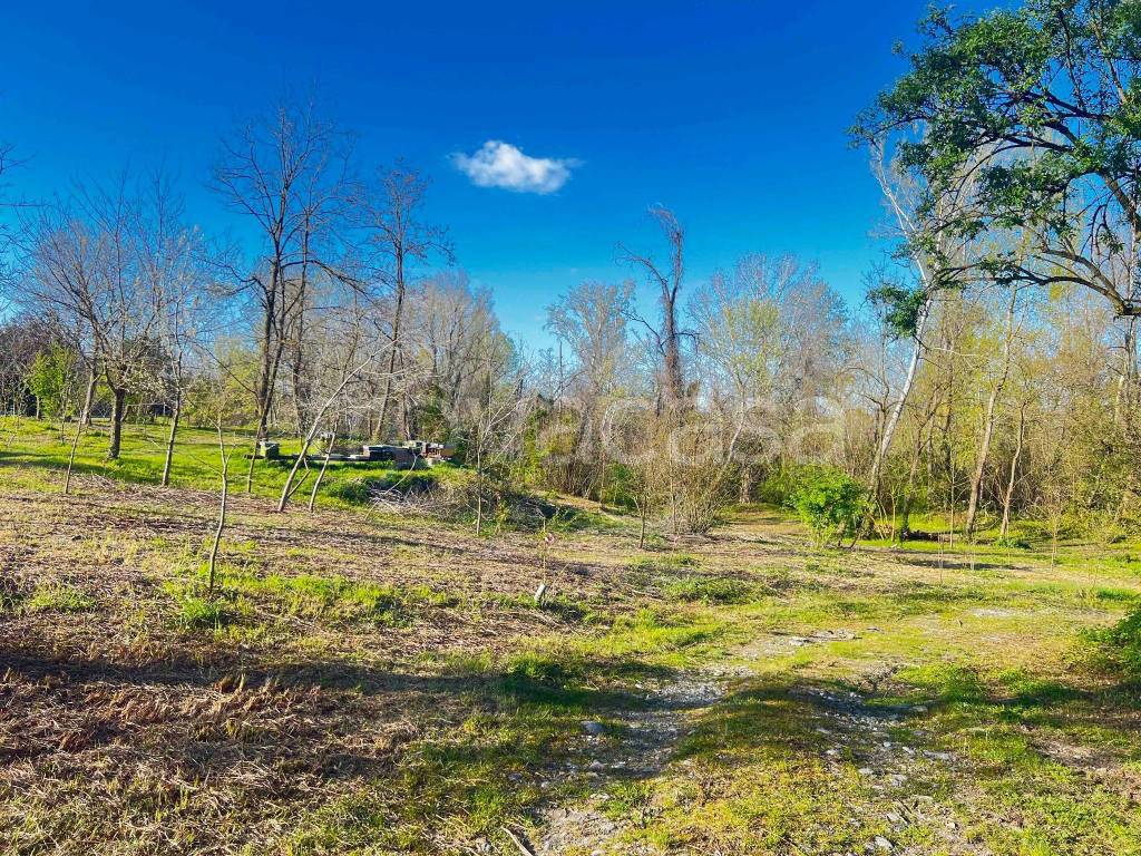 immagine annuncio 4 di 9