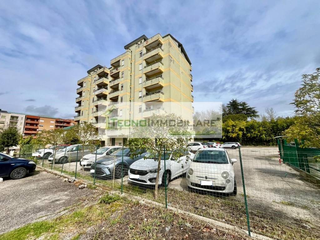 immagine annuncio 11 di 12