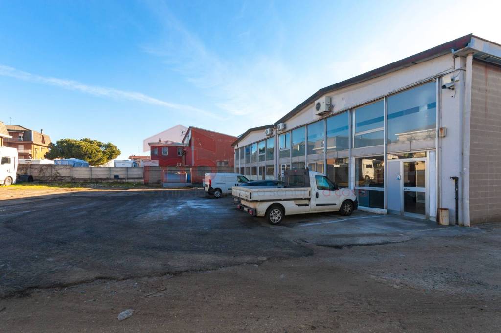 immagine annuncio 5 di 15