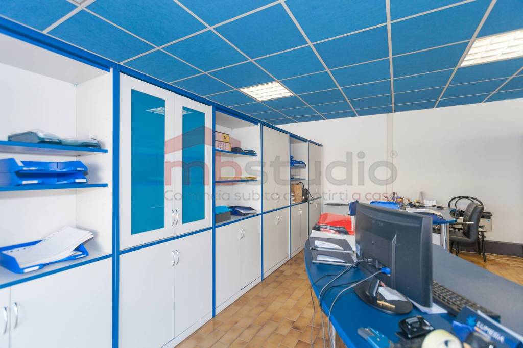 immagine annuncio 10 di 15