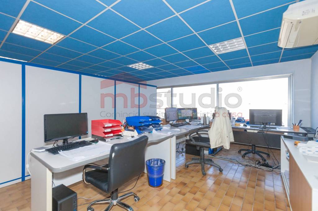 immagine annuncio 13 di 15