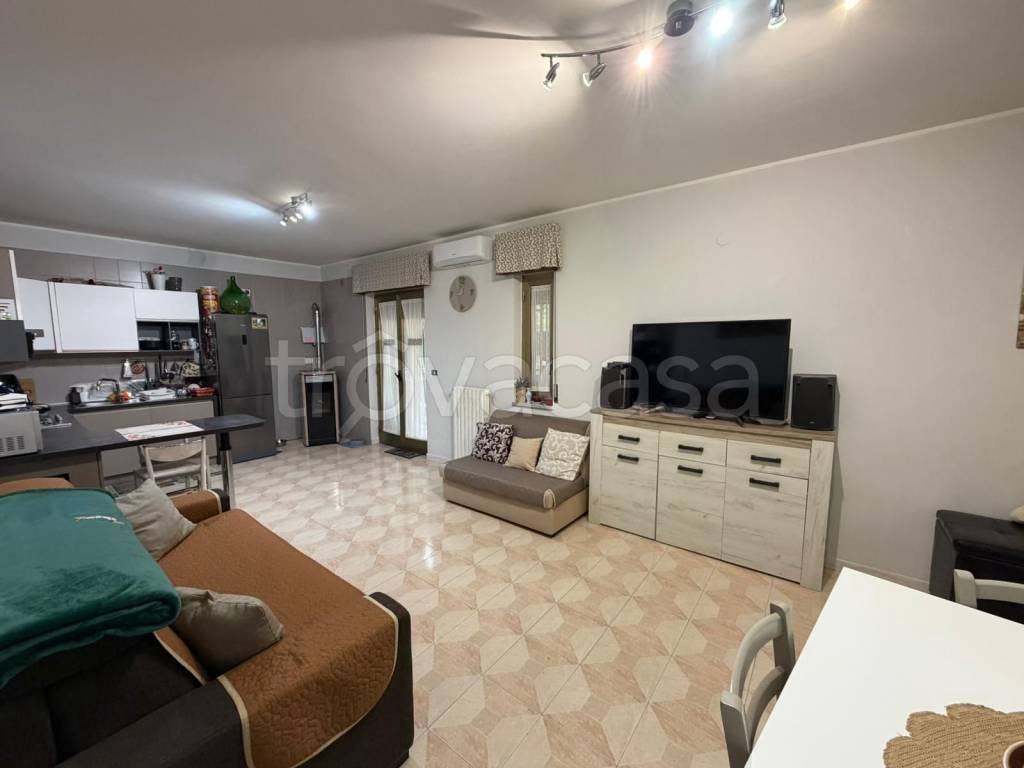 immagine annuncio 10 di 13