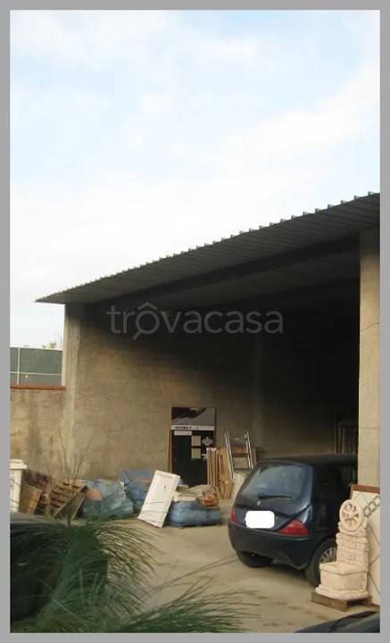 immagine annuncio 9 di 15