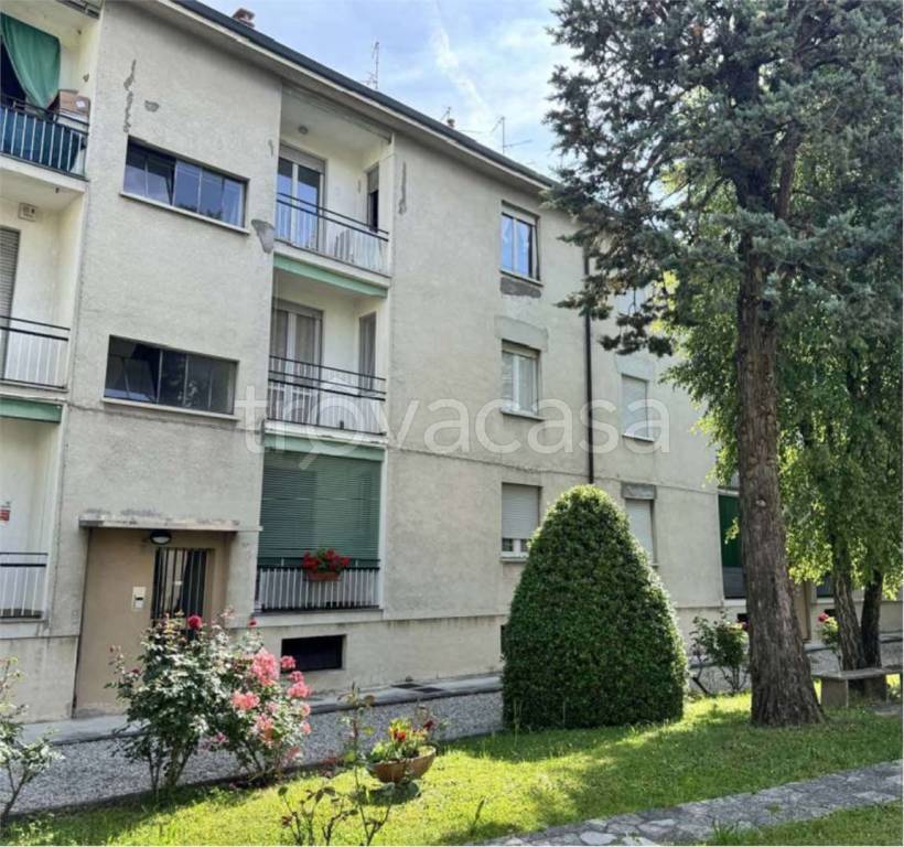 immagine annuncio 1 di 14