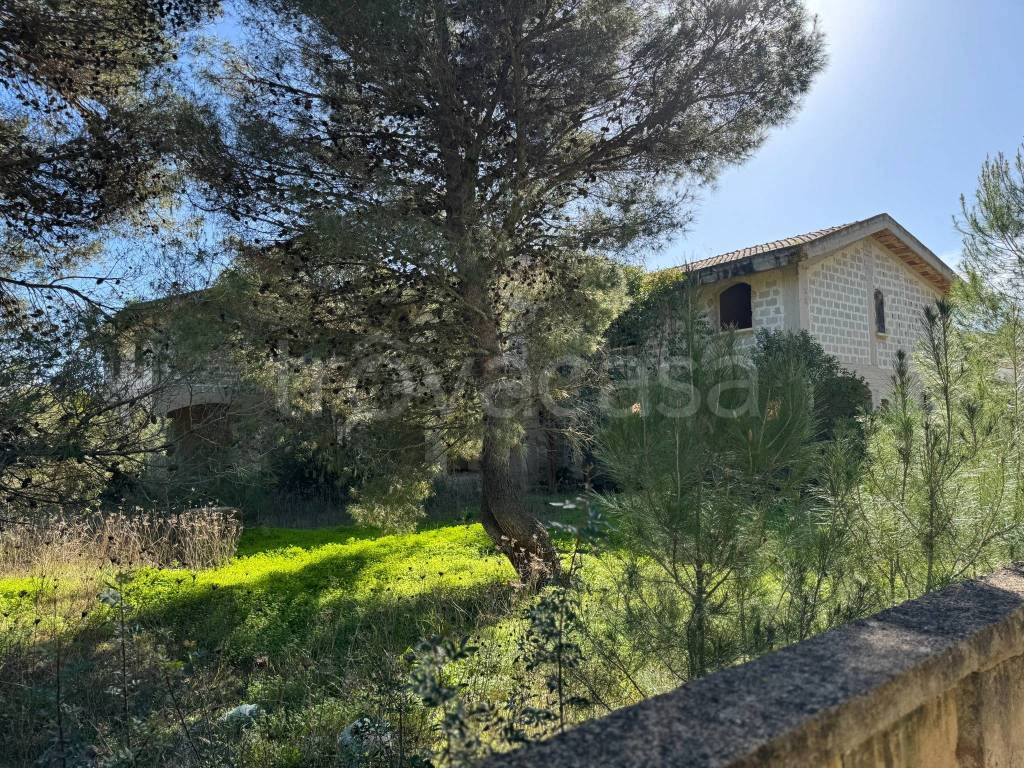 immagine annuncio 2 di 8