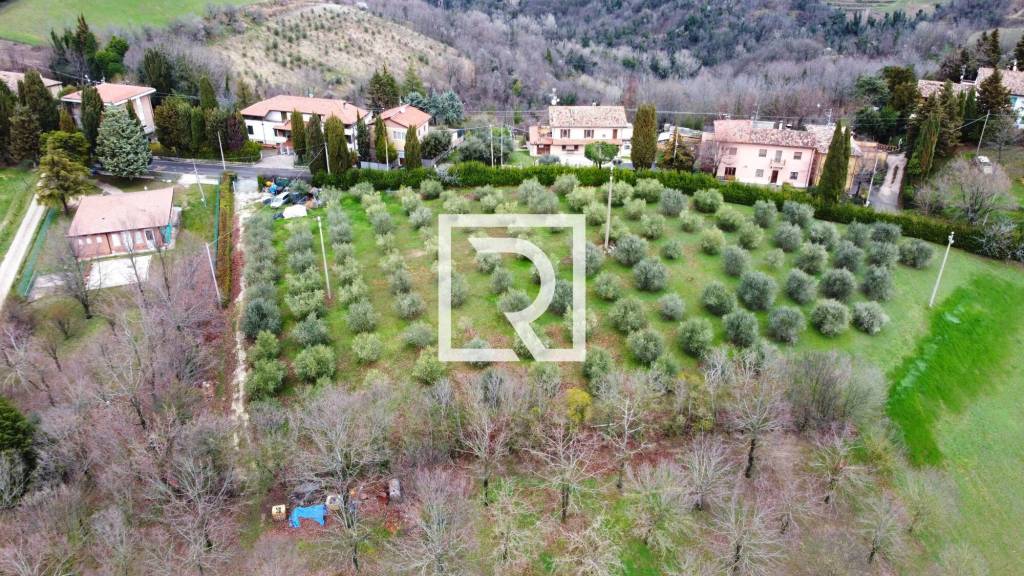 immagine annuncio 6 di 8